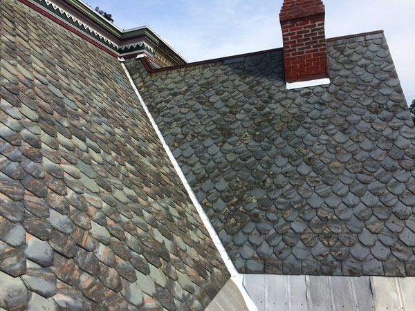 Random Gallery Views